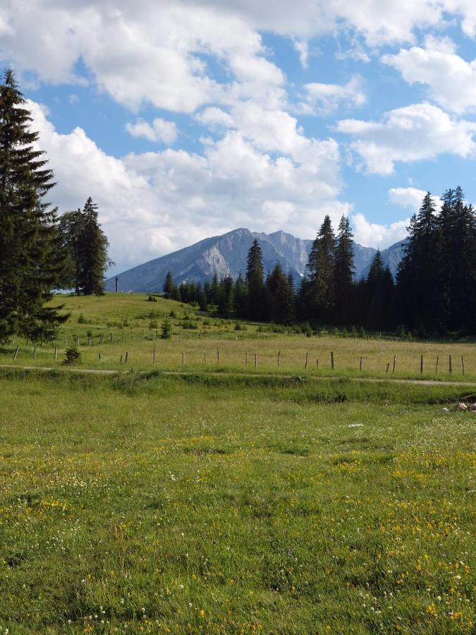 Sumski Raj Zabljak  Exterior photo